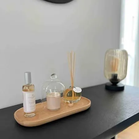 Magnifique T2 Lumineux 3 Etoiles - Centre Aix Les Bains Apartament