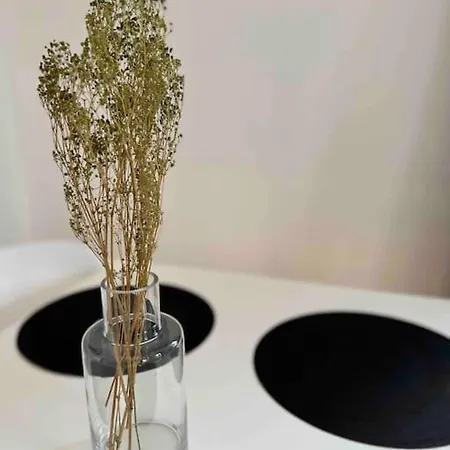Magnifique T2 Lumineux 3 Etoiles - Centre Aix Les Bains Apartament *
