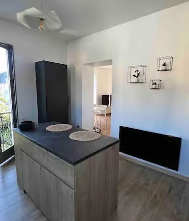 Magnifique T2 Lumineux 3 Etoiles - Centre Aix Les Bains 엑스레뱅